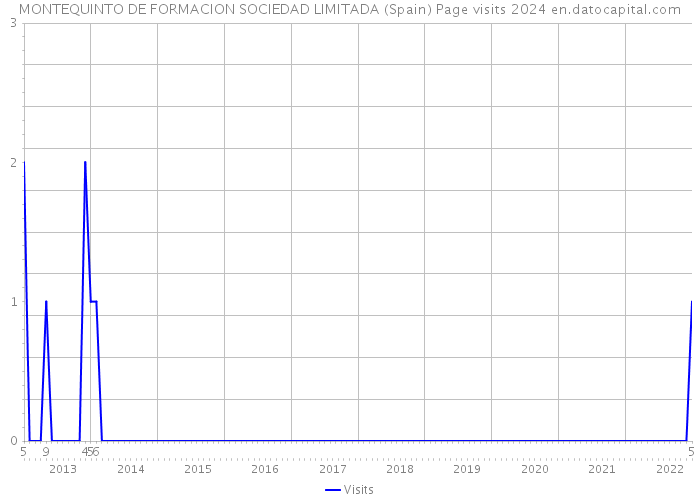 MONTEQUINTO DE FORMACION SOCIEDAD LIMITADA (Spain) Page visits 2024 