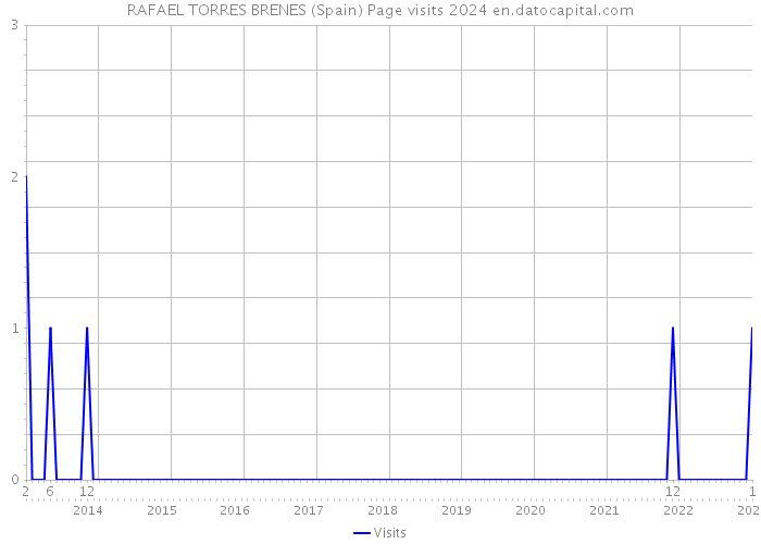 RAFAEL TORRES BRENES (Spain) Page visits 2024 