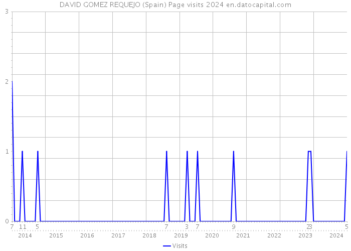 DAVID GOMEZ REQUEJO (Spain) Page visits 2024 