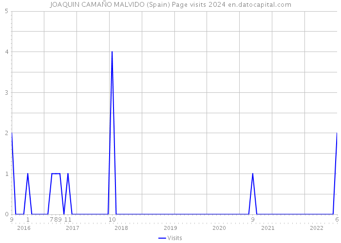 JOAQUIN CAMAÑO MALVIDO (Spain) Page visits 2024 