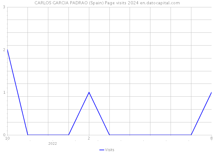 CARLOS GARCIA PADRAO (Spain) Page visits 2024 