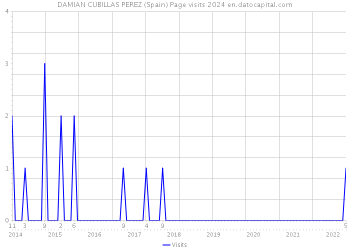 DAMIAN CUBILLAS PEREZ (Spain) Page visits 2024 