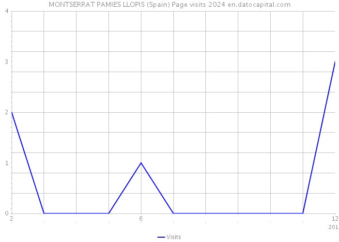 MONTSERRAT PAMIES LLOPIS (Spain) Page visits 2024 