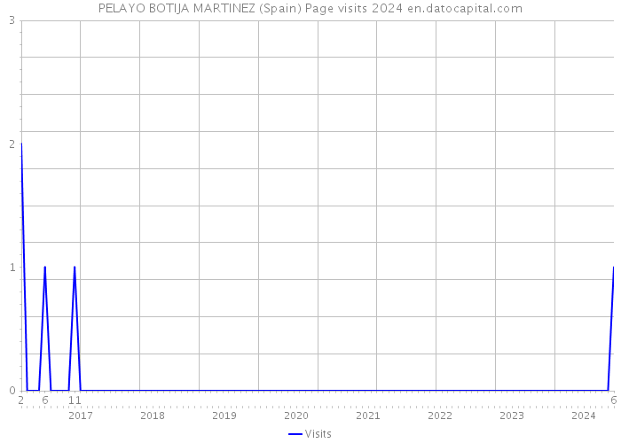 PELAYO BOTIJA MARTINEZ (Spain) Page visits 2024 
