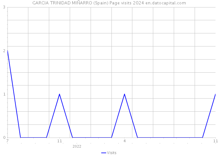 GARCIA TRINIDAD MIÑARRO (Spain) Page visits 2024 