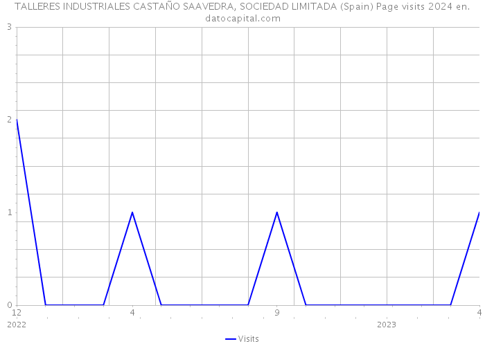 TALLERES INDUSTRIALES CASTAÑO SAAVEDRA, SOCIEDAD LIMITADA (Spain) Page visits 2024 
