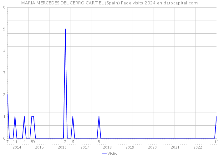 MARIA MERCEDES DEL CERRO CARTIEL (Spain) Page visits 2024 