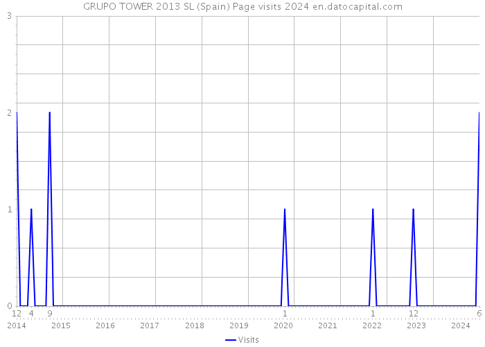 GRUPO TOWER 2013 SL (Spain) Page visits 2024 
