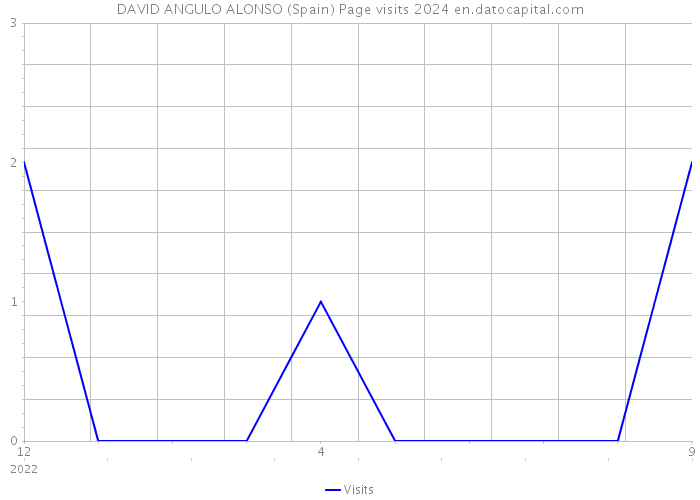 DAVID ANGULO ALONSO (Spain) Page visits 2024 