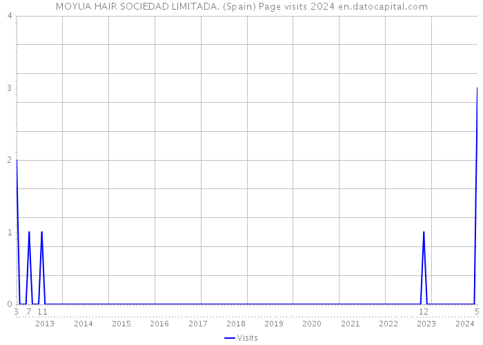 MOYUA HAIR SOCIEDAD LIMITADA. (Spain) Page visits 2024 