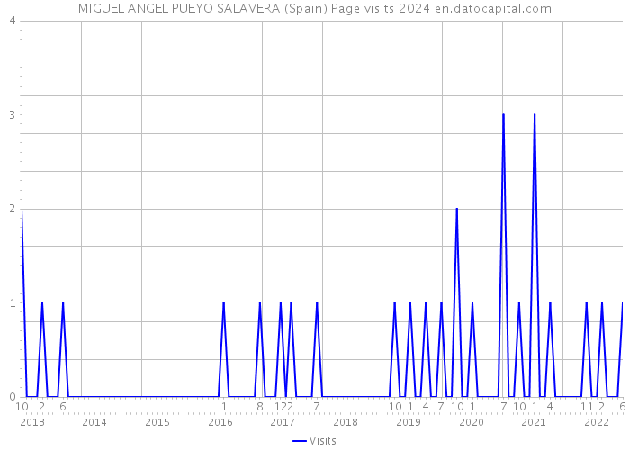 MIGUEL ANGEL PUEYO SALAVERA (Spain) Page visits 2024 