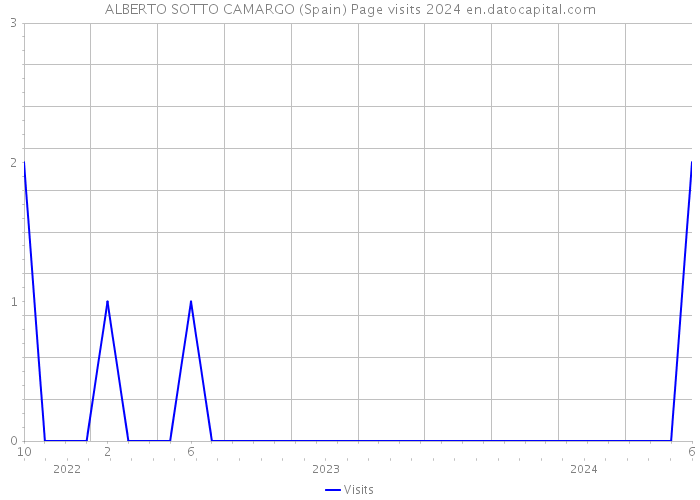 ALBERTO SOTTO CAMARGO (Spain) Page visits 2024 