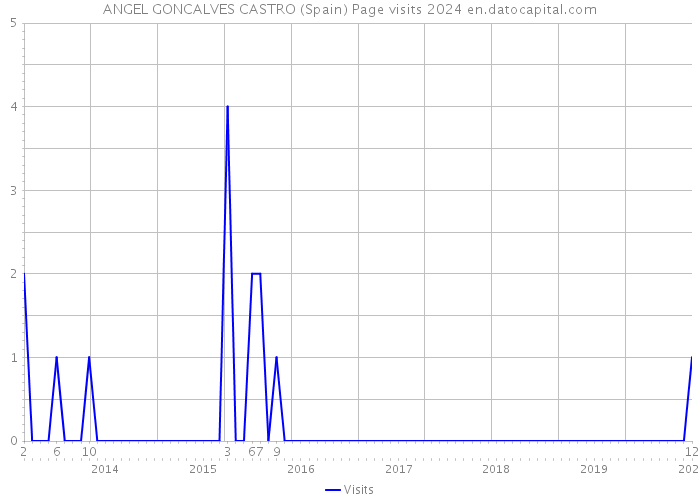ANGEL GONCALVES CASTRO (Spain) Page visits 2024 