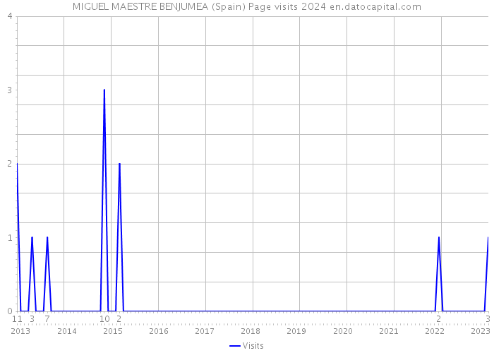 MIGUEL MAESTRE BENJUMEA (Spain) Page visits 2024 