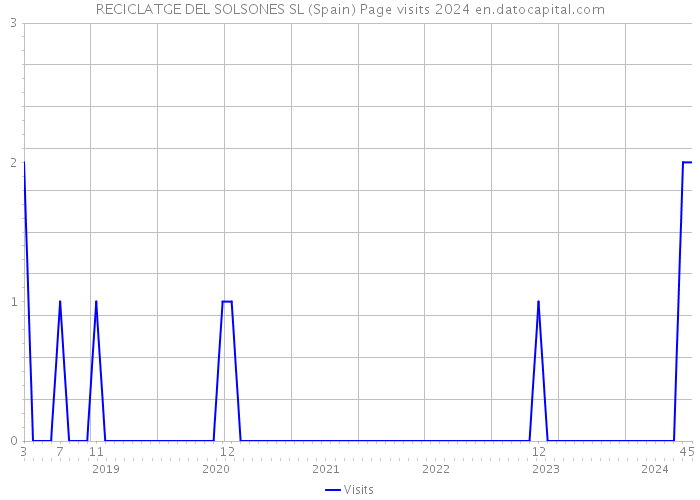 RECICLATGE DEL SOLSONES SL (Spain) Page visits 2024 