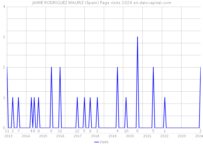 JAIME RODRIGUEZ MAURIZ (Spain) Page visits 2024 