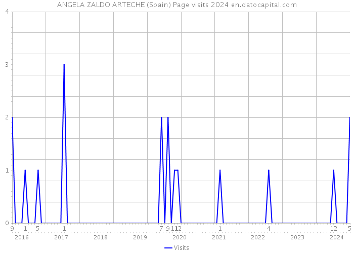 ANGELA ZALDO ARTECHE (Spain) Page visits 2024 
