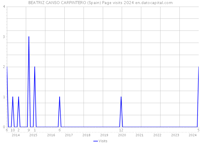 BEATRIZ GANSO CARPINTERO (Spain) Page visits 2024 