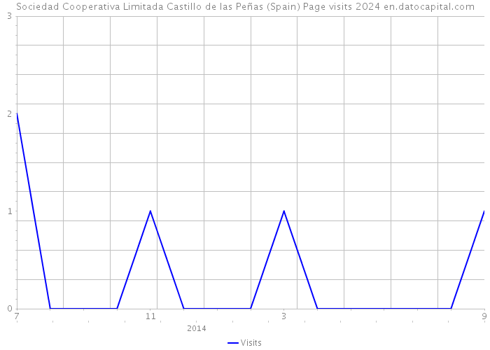 Sociedad Cooperativa Limitada Castillo de las Peñas (Spain) Page visits 2024 