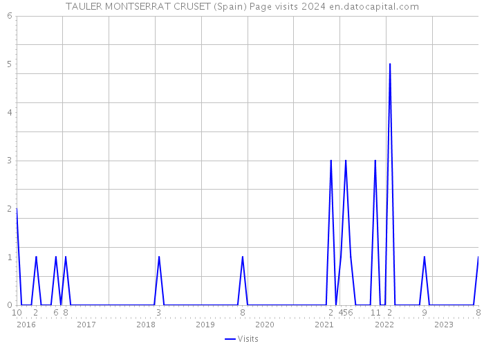 TAULER MONTSERRAT CRUSET (Spain) Page visits 2024 