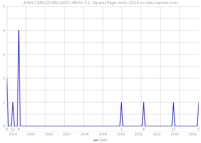 JUAN CARLOS DELGADO HEVIA S.L. (Spain) Page visits 2024 