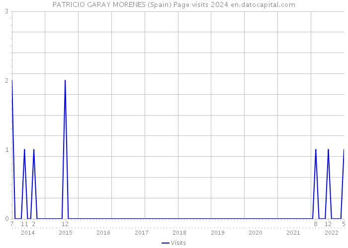 PATRICIO GARAY MORENES (Spain) Page visits 2024 