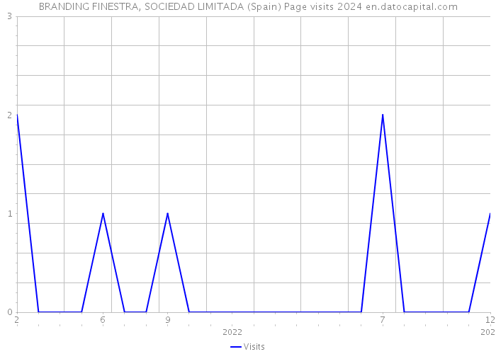 BRANDING FINESTRA, SOCIEDAD LIMITADA (Spain) Page visits 2024 