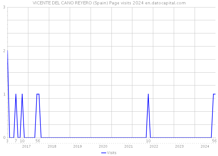 VICENTE DEL CANO REYERO (Spain) Page visits 2024 