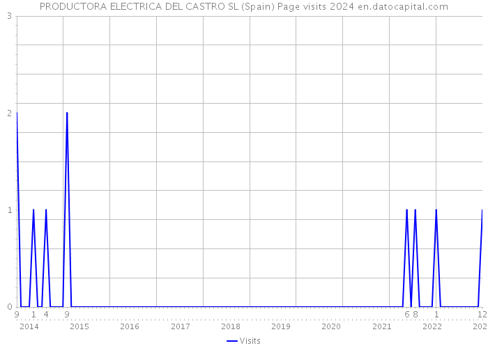 PRODUCTORA ELECTRICA DEL CASTRO SL (Spain) Page visits 2024 