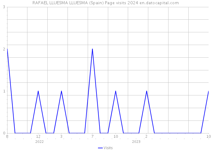 RAFAEL LLUESMA LLUESMA (Spain) Page visits 2024 