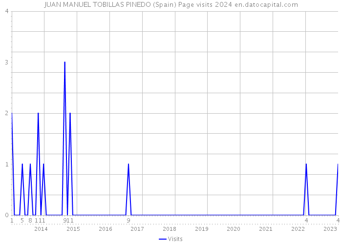JUAN MANUEL TOBILLAS PINEDO (Spain) Page visits 2024 