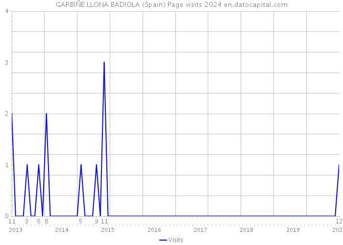 GARBIÑE LLONA BADIOLA (Spain) Page visits 2024 