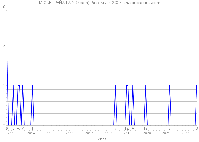 MIGUEL PEÑA LAIN (Spain) Page visits 2024 