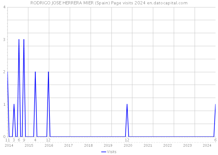 RODRIGO JOSE HERRERA MIER (Spain) Page visits 2024 