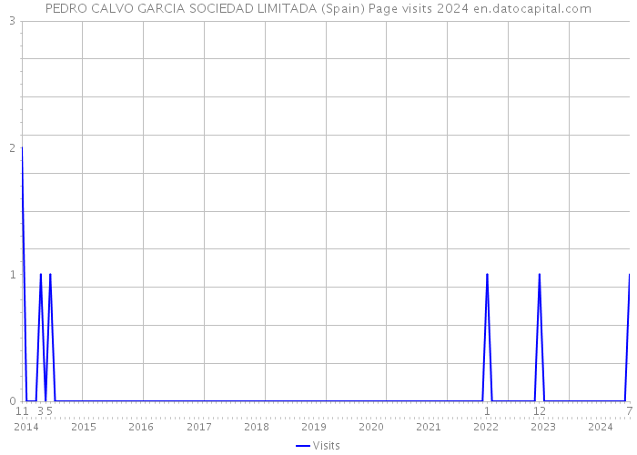 PEDRO CALVO GARCIA SOCIEDAD LIMITADA (Spain) Page visits 2024 