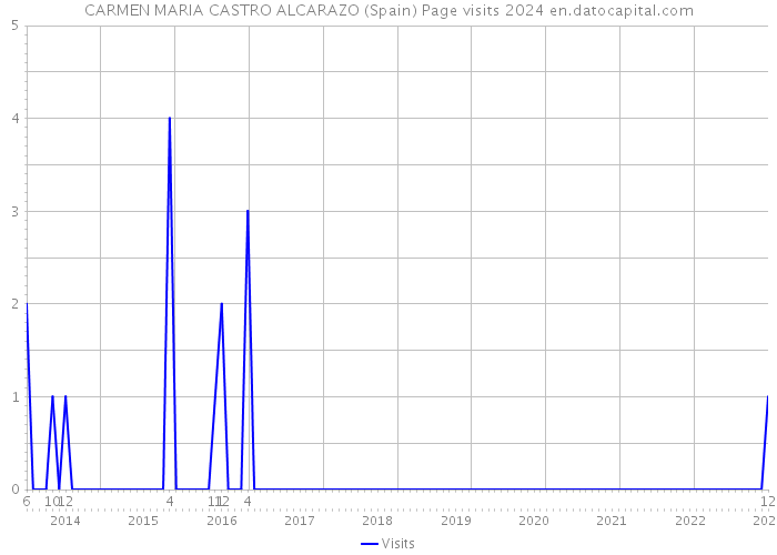 CARMEN MARIA CASTRO ALCARAZO (Spain) Page visits 2024 