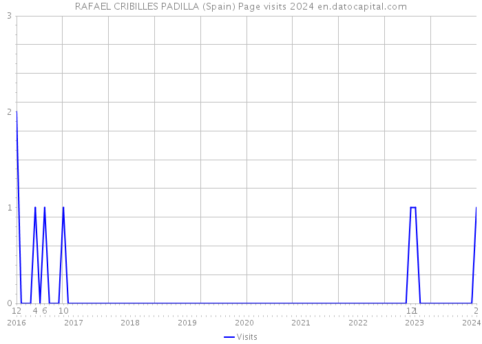 RAFAEL CRIBILLES PADILLA (Spain) Page visits 2024 