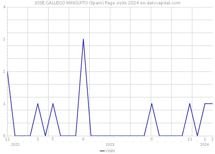 JOSE GALLEGO MINGUITO (Spain) Page visits 2024 