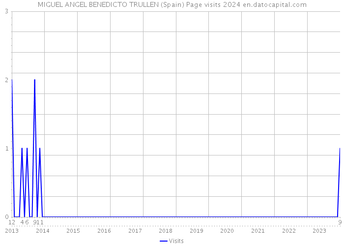 MIGUEL ANGEL BENEDICTO TRULLEN (Spain) Page visits 2024 