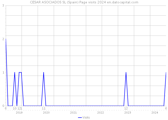 CESAR ASOCIADOS SL (Spain) Page visits 2024 