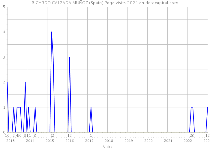 RICARDO CALZADA MUÑOZ (Spain) Page visits 2024 