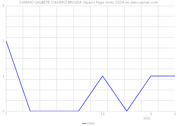 CAMINO GALBETE CIAURRIZ BRIGIDA (Spain) Page visits 2024 