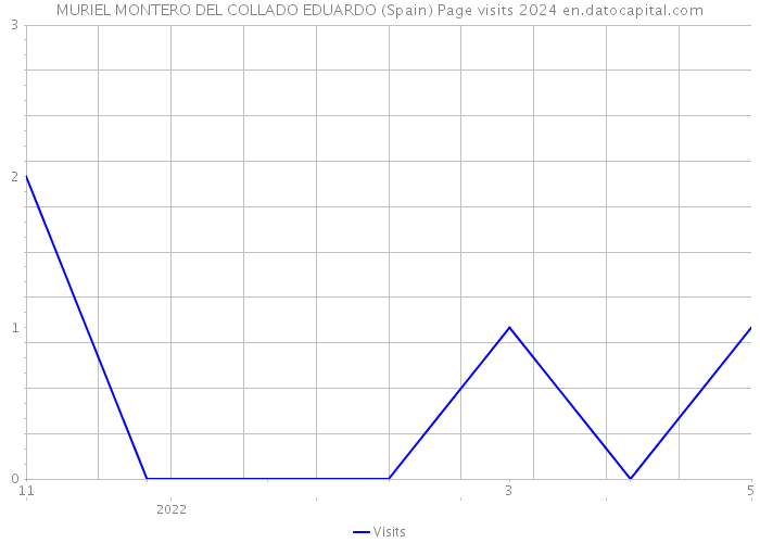 MURIEL MONTERO DEL COLLADO EDUARDO (Spain) Page visits 2024 