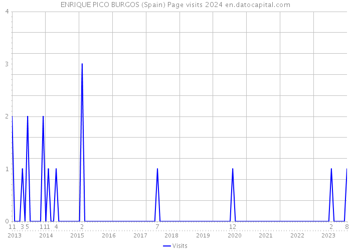 ENRIQUE PICO BURGOS (Spain) Page visits 2024 