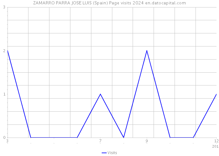 ZAMARRO PARRA JOSE LUIS (Spain) Page visits 2024 