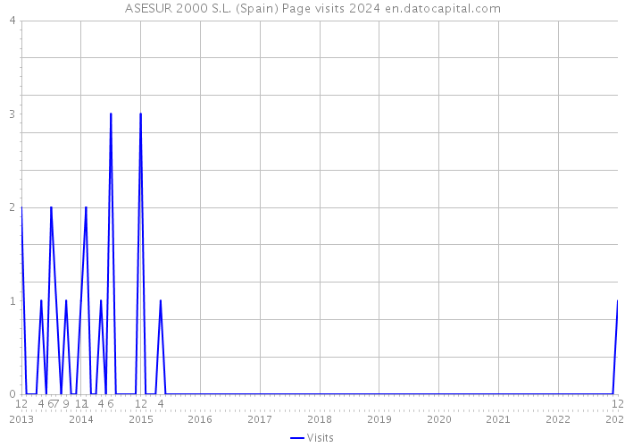 ASESUR 2000 S.L. (Spain) Page visits 2024 