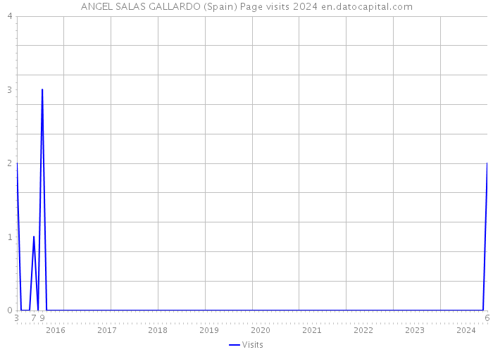ANGEL SALAS GALLARDO (Spain) Page visits 2024 
