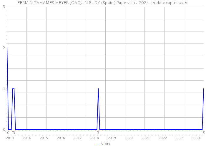 FERMIN TAMAMES MEYER JOAQUIN RUDY (Spain) Page visits 2024 