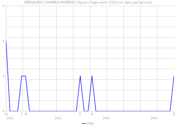 FERNANDO GAMERO MORENO (Spain) Page visits 2024 