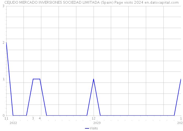 CEJUDO MERCADO INVERSIONES SOCIEDAD LIMITADA (Spain) Page visits 2024 